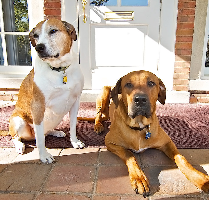 Lilly and Gus